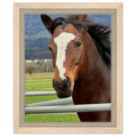 0426eab0-71f9-4b54-8a0c-cde1dd8310a7